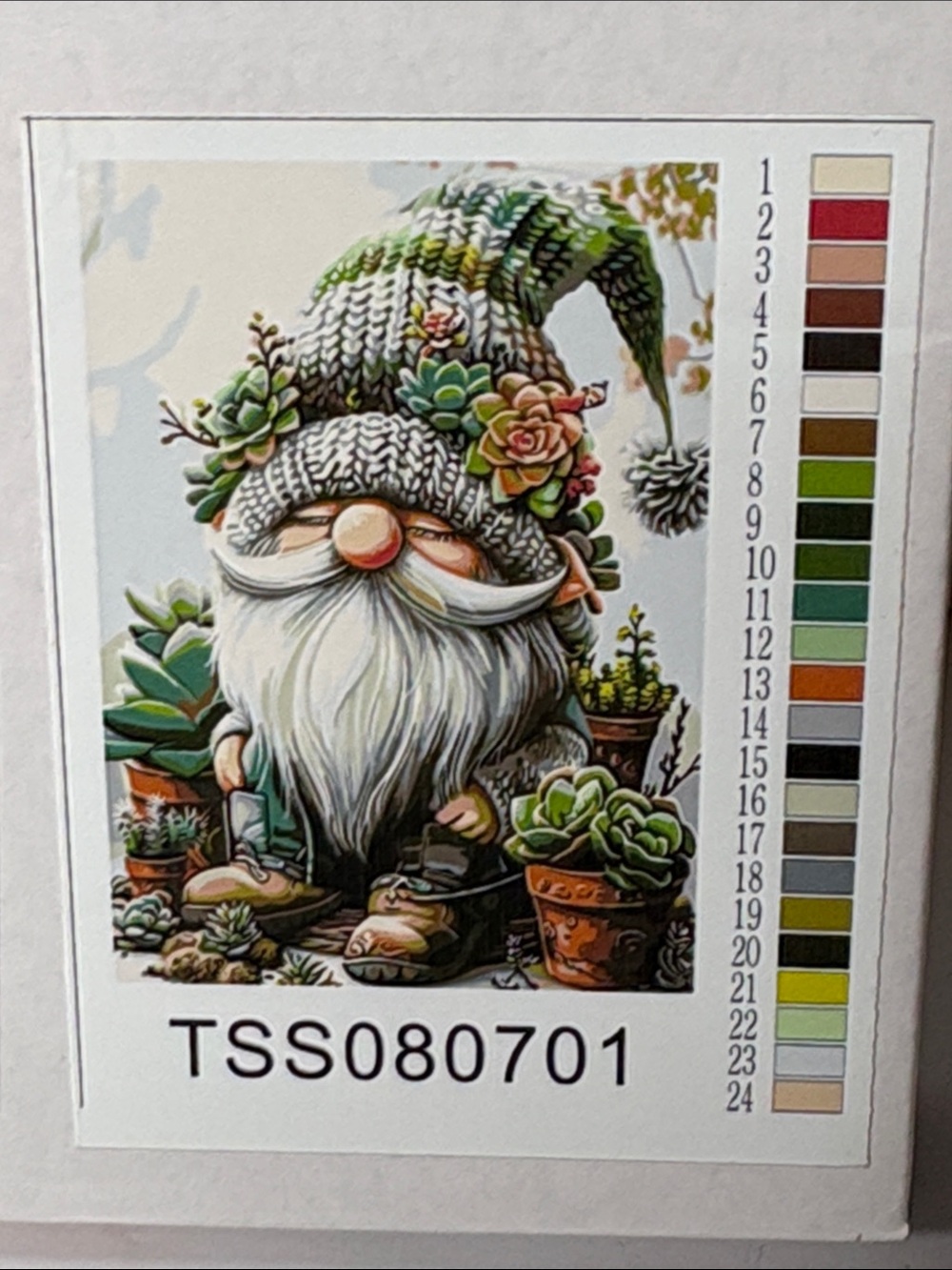 Gnome & Succulent Paint by Number Kit